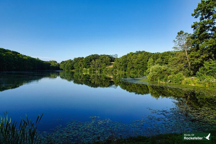 A lake surrounded by trees and a blue sky.