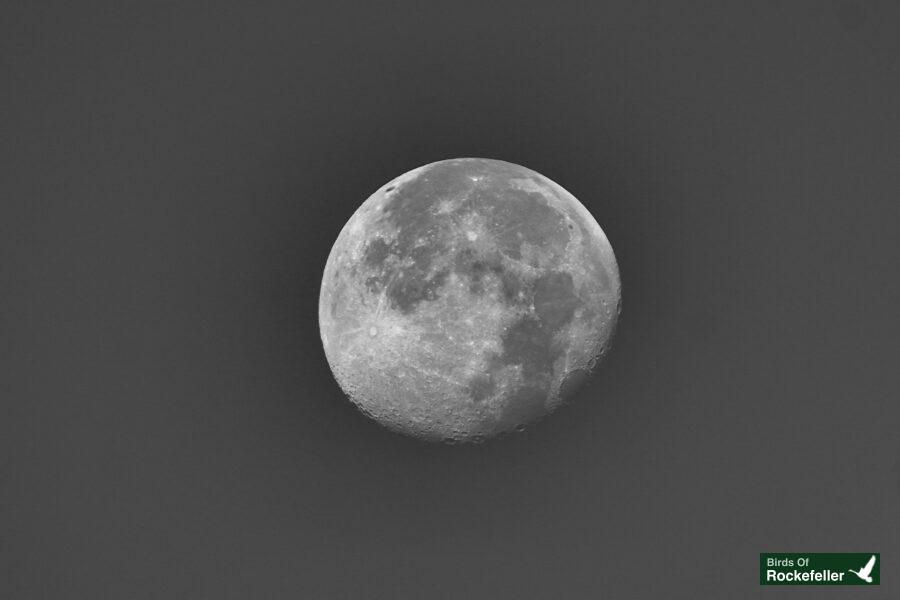 A black and white photo of the moon.