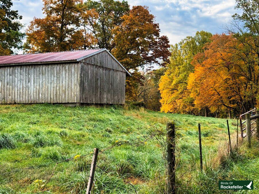 An old barn sits in the middle of a grassy field.