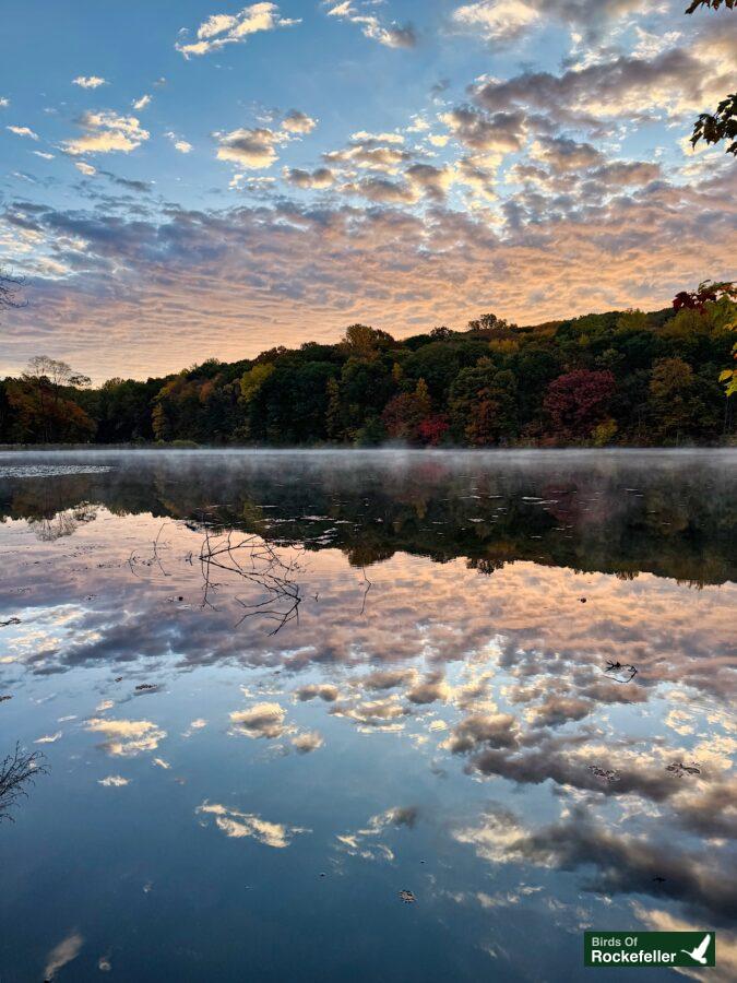 A misty lake with trees and clouds in the background.