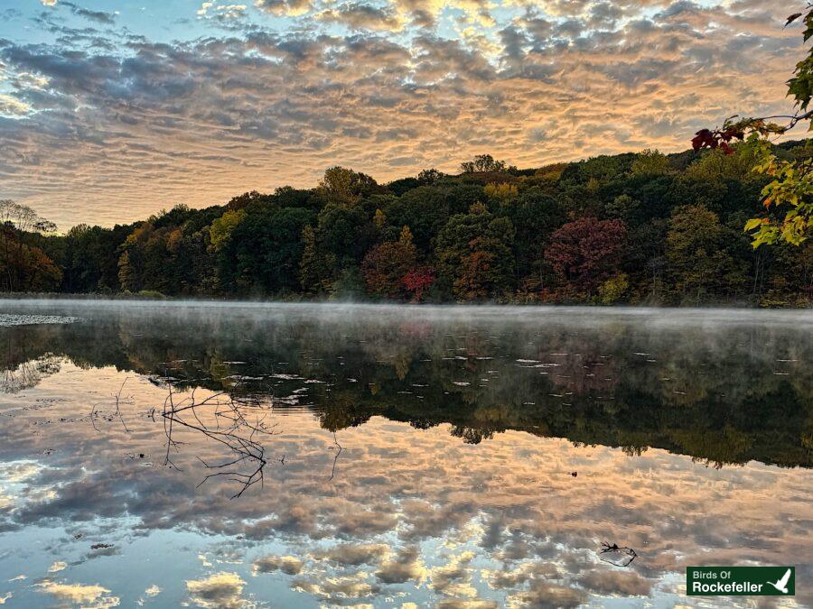 A misty lake with trees in the background.