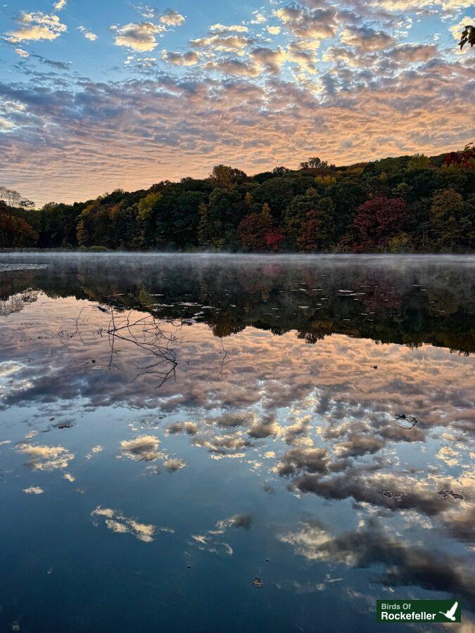 A misty lake with trees and clouds reflected in it.