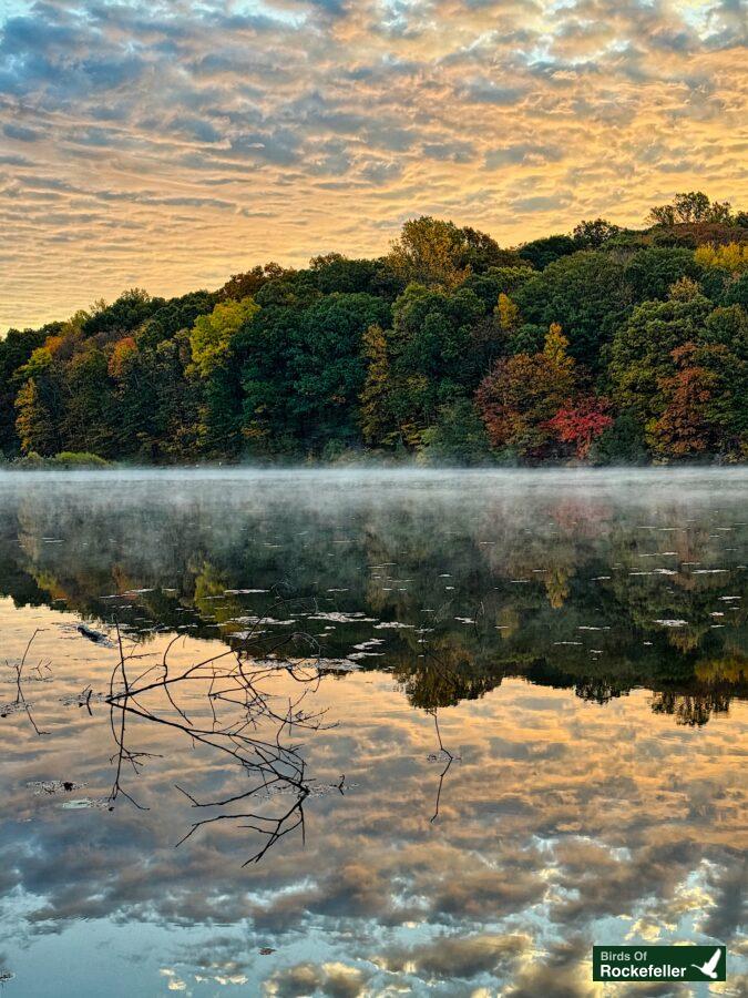 A misty lake with trees in the background.