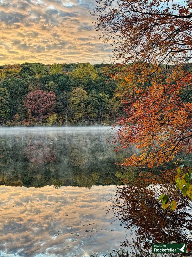 A lake surrounded by trees and mist at sunrise.