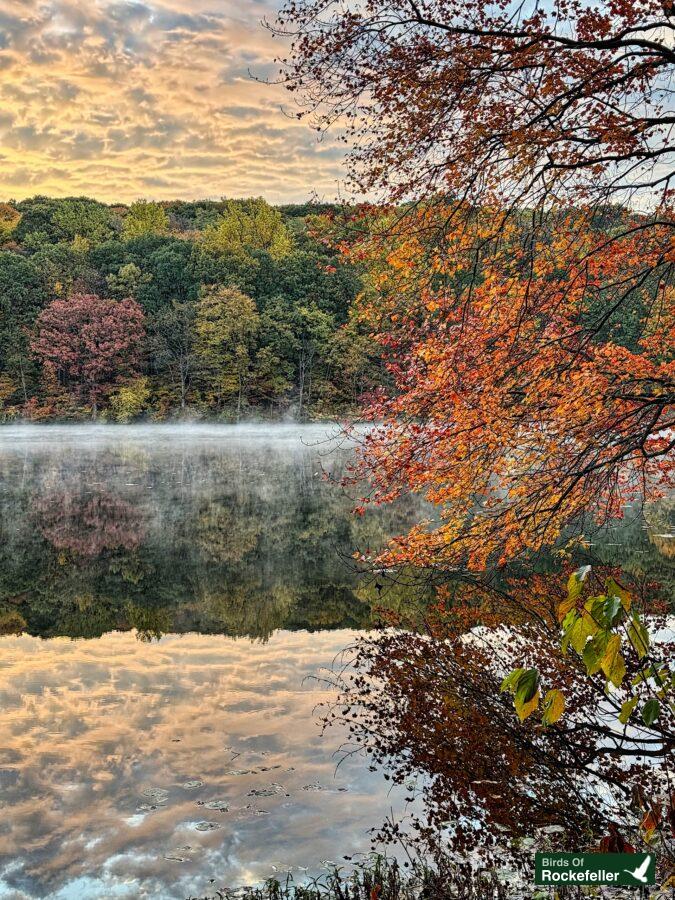 A lake surrounded by fall foliage and mist.