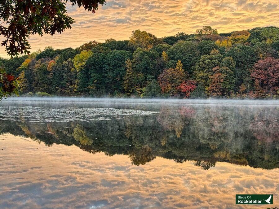 A misty lake surrounded by trees at sunrise.