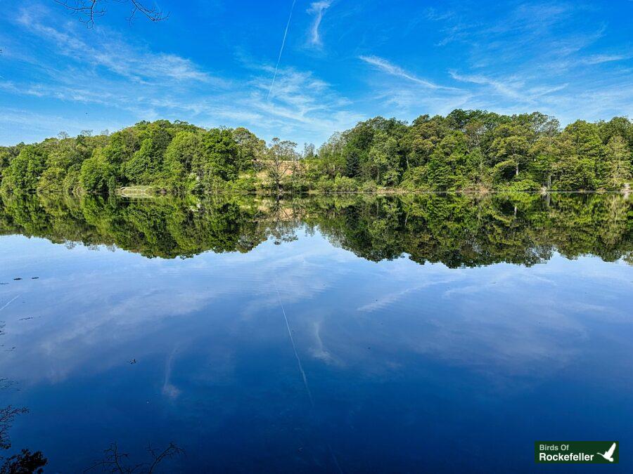 A lake surrounded by trees and a blue sky.