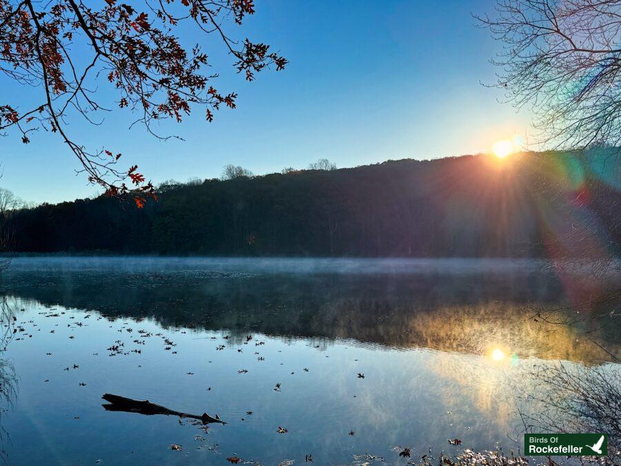 The sun rises over a lake in a foggy morning.