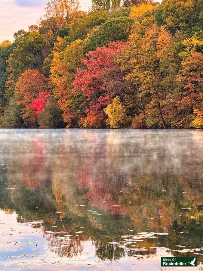 A lake surrounded by autumn trees and mist.