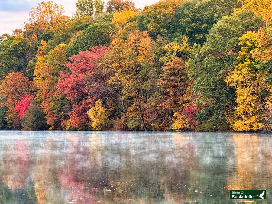 A lake surrounded by colorful trees in the fall.