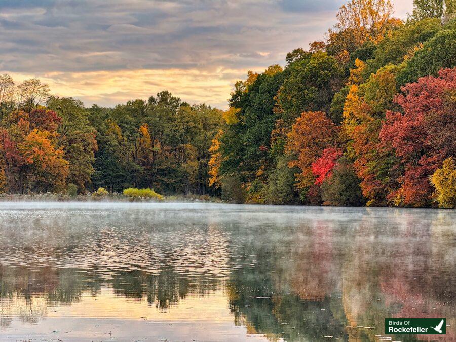 A lake surrounded by trees and mist.