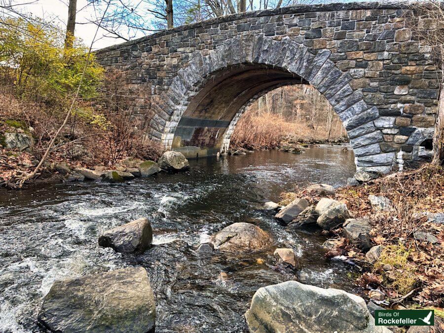 A stone bridge over a stream in a wooded area.