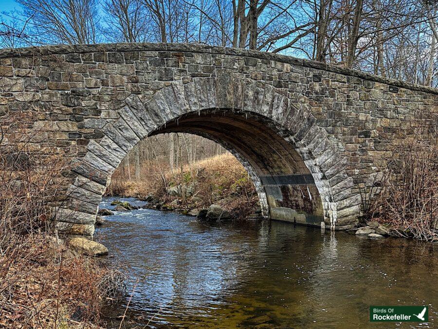 A stone bridge over a stream in the woods.