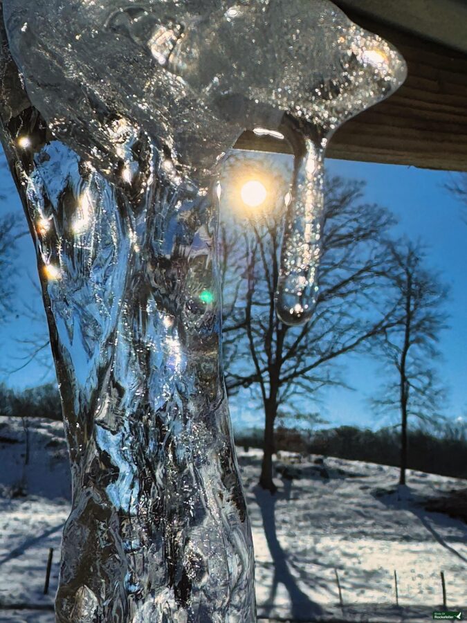 A icicle with sun shining through it.