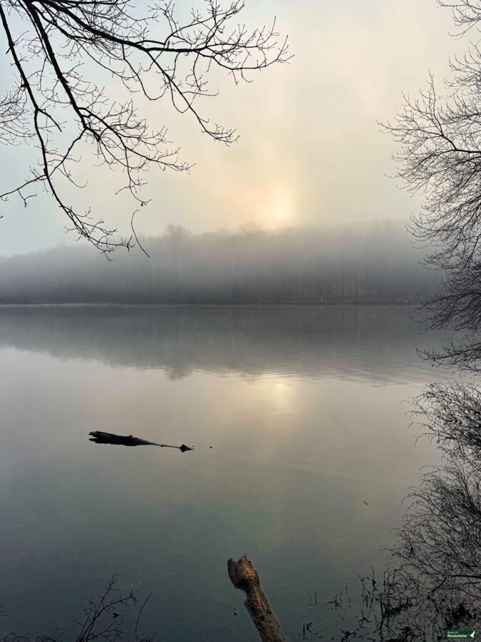 A foggy morning on a lake with trees in the background.