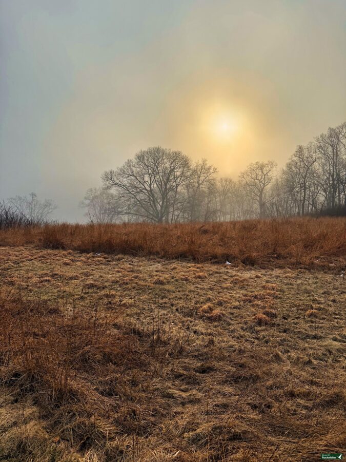 The sun rises over a foggy field.