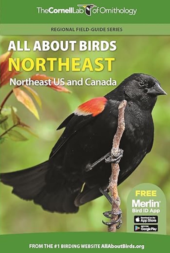 The cover of all about birds northeast.