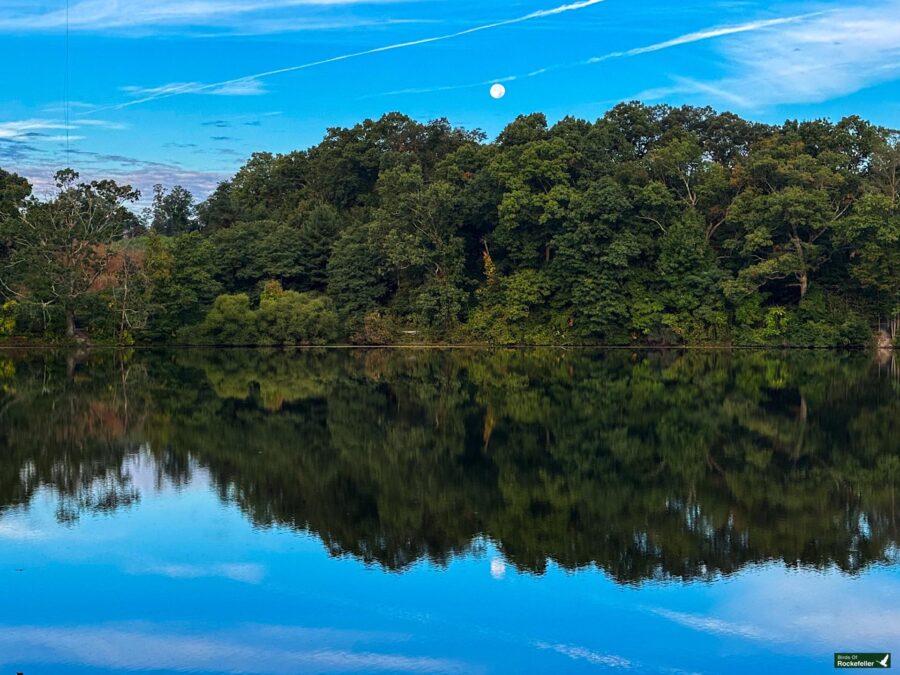 Swan Lake at Rockefeller State Park Preserve under a clear blue sky with a visible moon above.