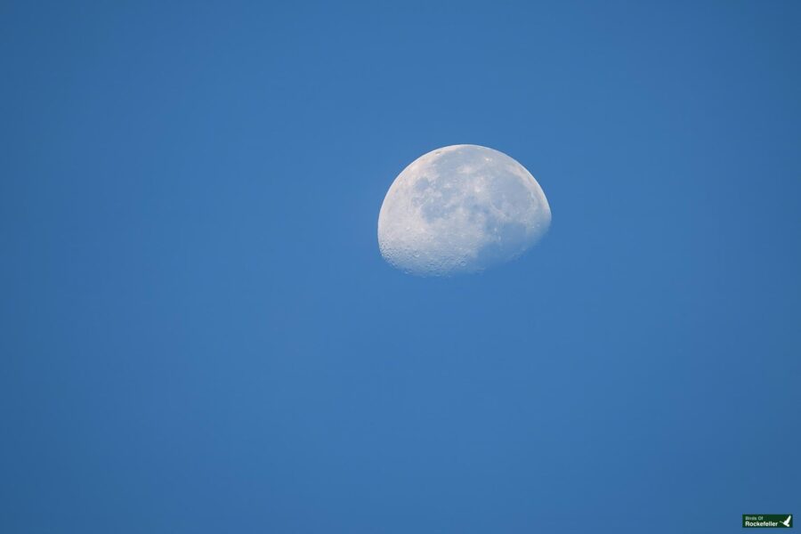 The image shows a half moon against a clear blue sky during daytime.